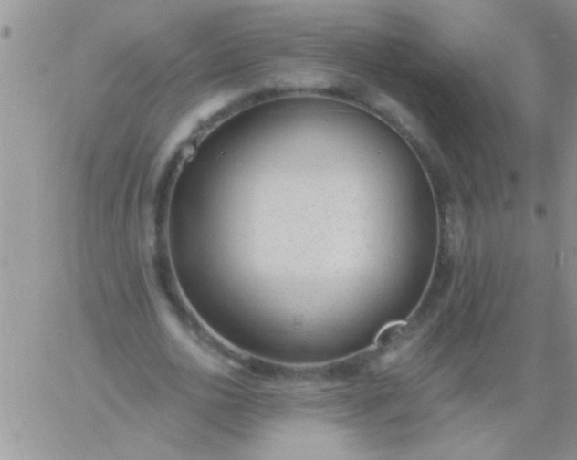 X0000060810726200511241935