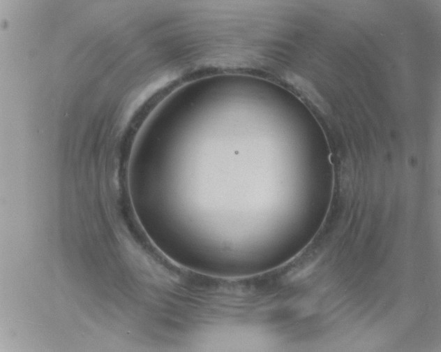 X0000060810727200511241935