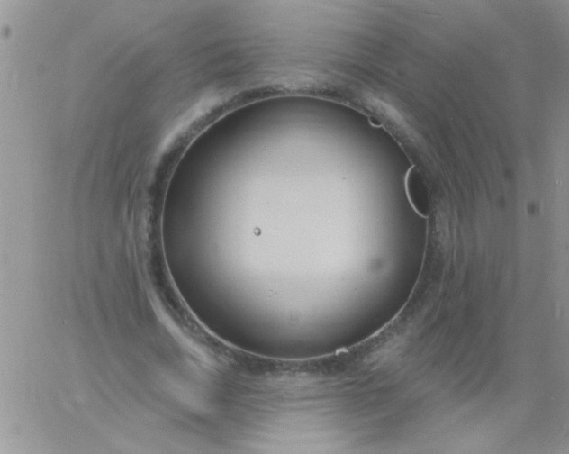 X0000060810730200511241935