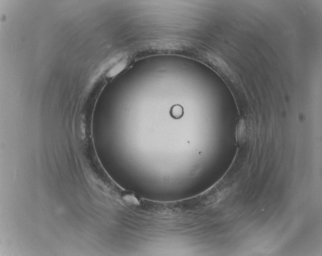 X0000060810731200511241935