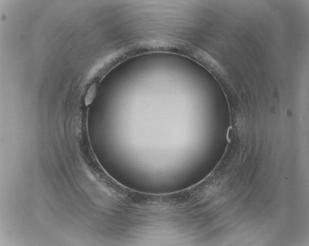 X0000060810732200511241935