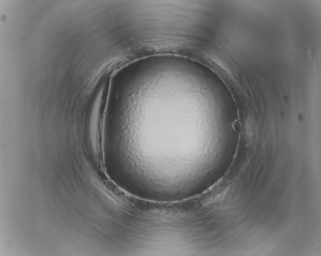 X0000060810733200511241935