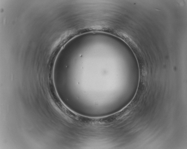 X0000060810734200511241935