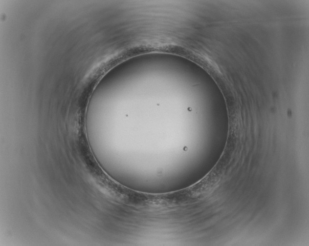 X0000060810736200511241935