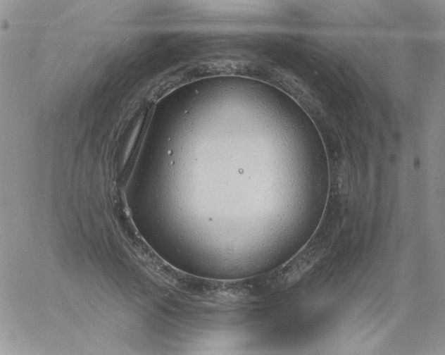 X0000060810737200511241935