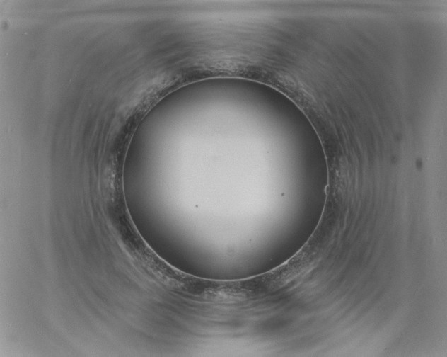 X0000060810739200511241935