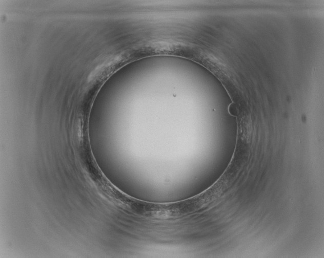 X0000060810740200511241935