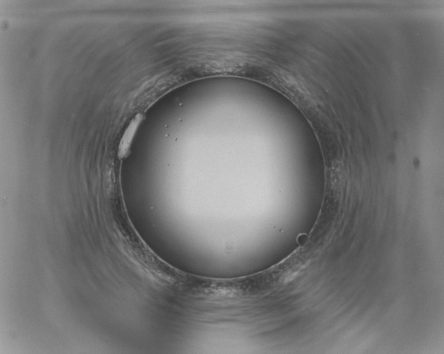 X0000060810741200511241935