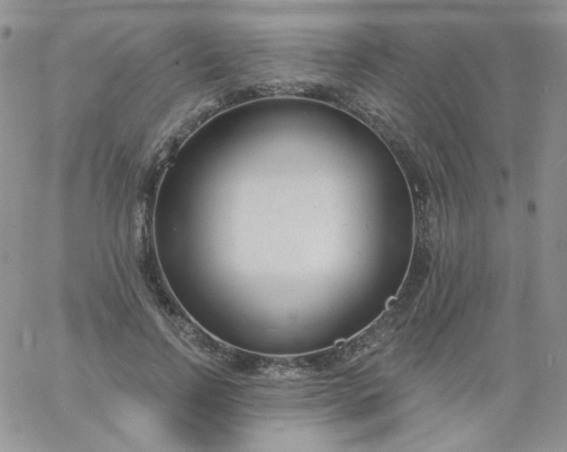 X0000060810742200511241935