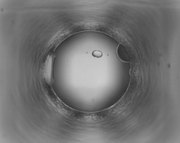 X0000060810744200511241935