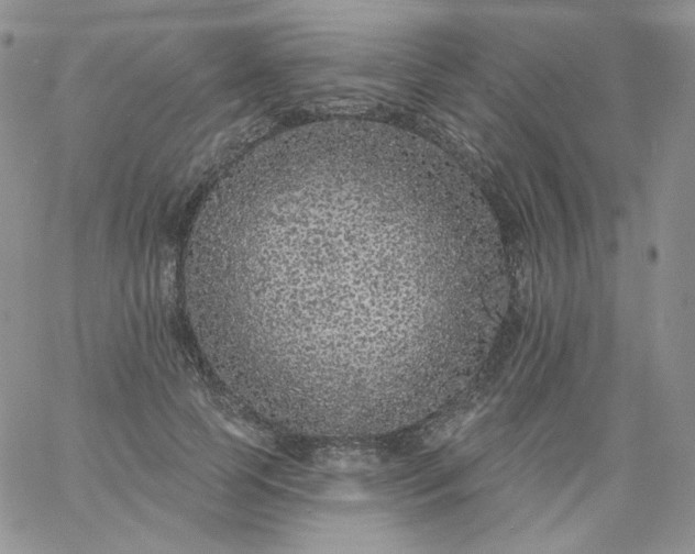 X0000060810745200511241935