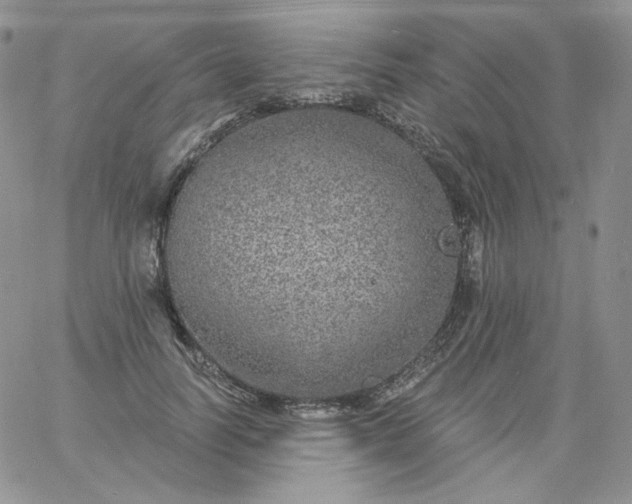 X0000060810746200511241935