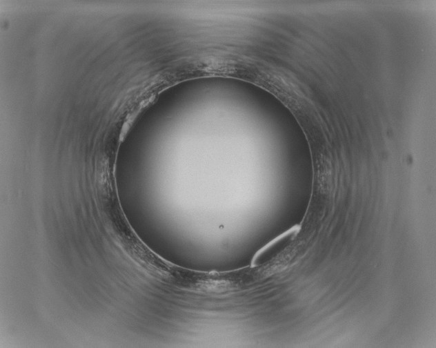 X0000060810748200511241935