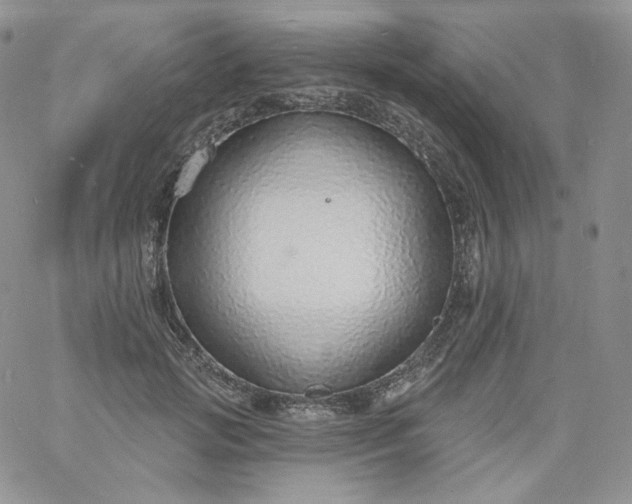 X0000060810749200511241935