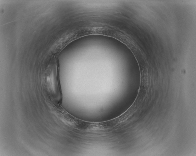 X0000060810750200511241935