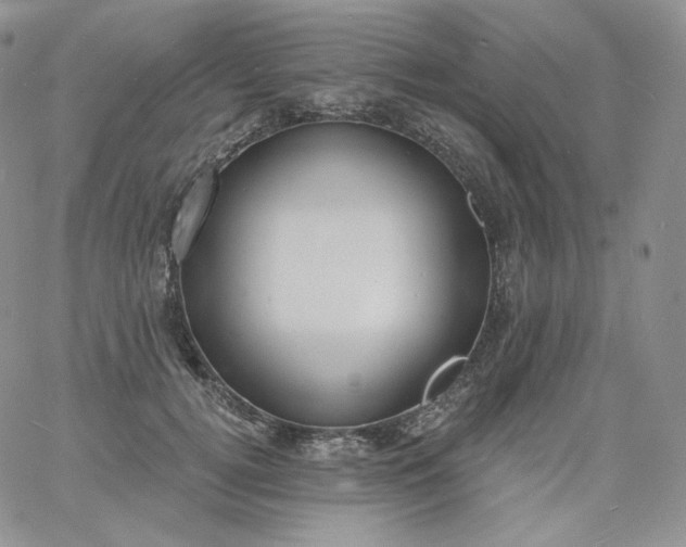 X0000060810752200511241935