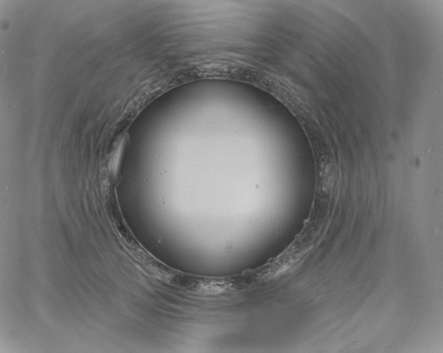 X0000060810753200511241935