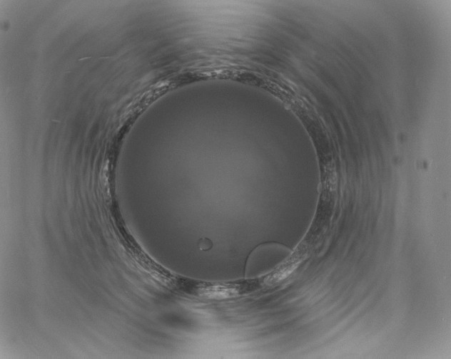 X0000060810754200511241935