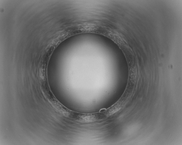 X0000060810755200511241935