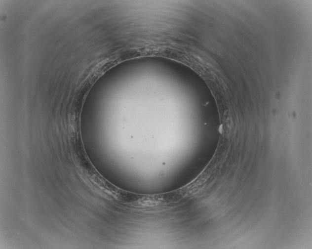 X0000060810756200511241935