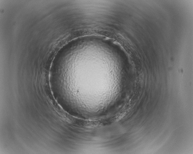 X0000060810757200511241935