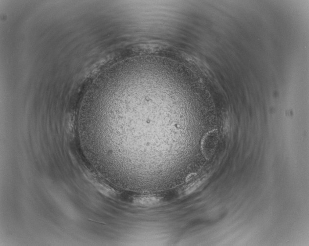 X0000060810759200511241935