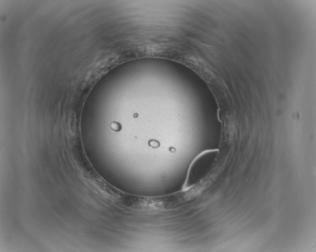 X0000060810760200511241935