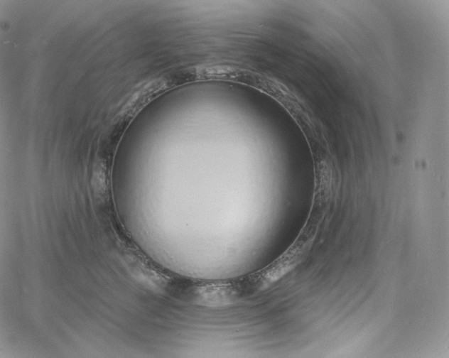 X0000060810761200511241935