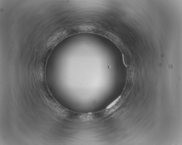 X0000060810762200511241935