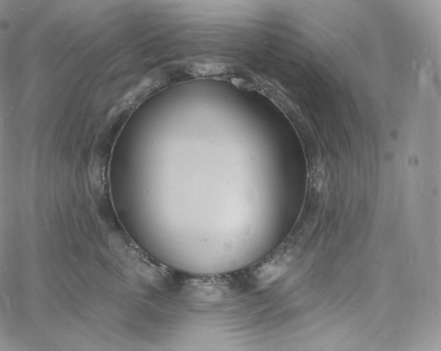 X0000060810763200511241935