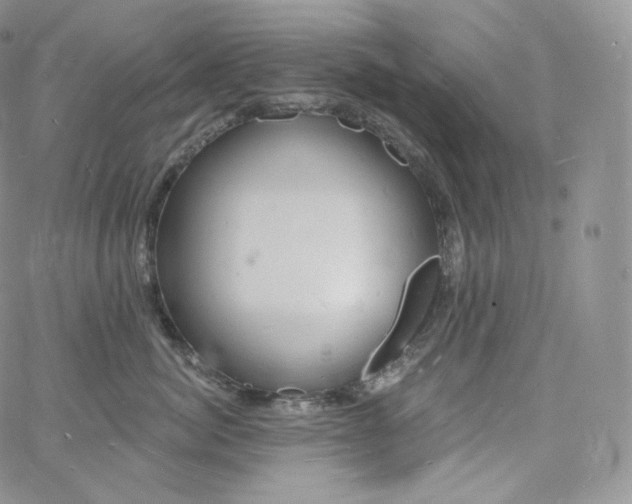 X0000060810764200511241935