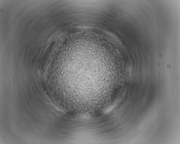 X0000060810765200511241935