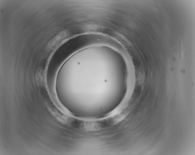 X0000060810766200511241935