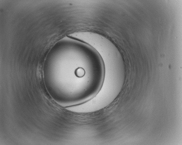 X0000060810768200511241935