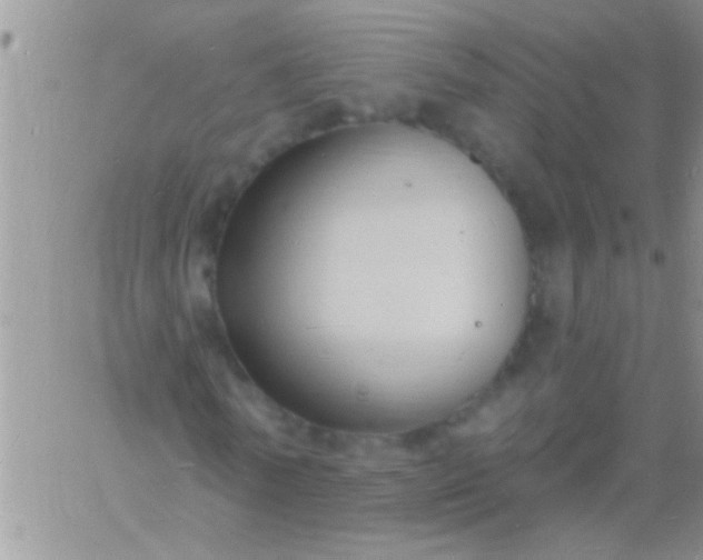 X0000060810770200511241934