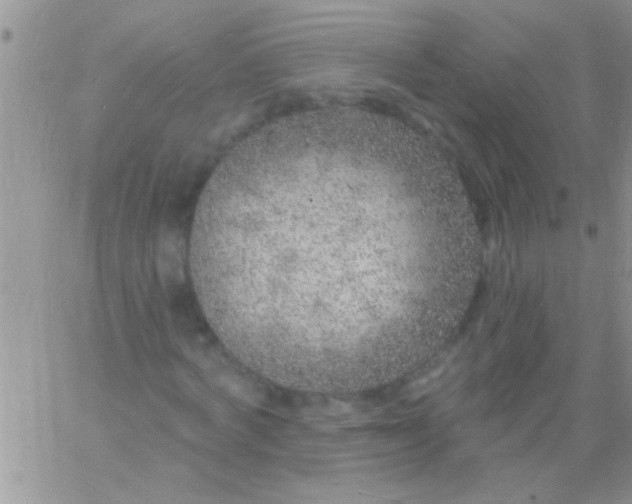 X0000060810772200511241934