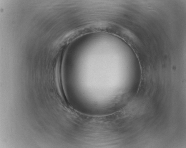 X0000060810773200511241934