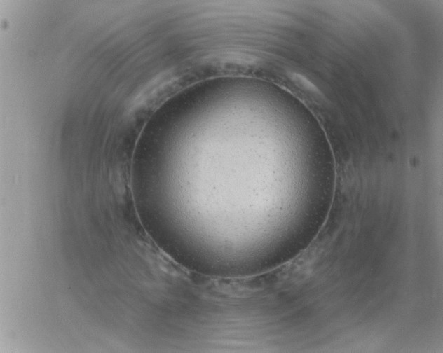 X0000060810774200511241934