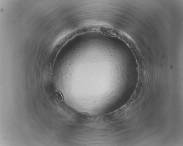 X0000060810775200511241934