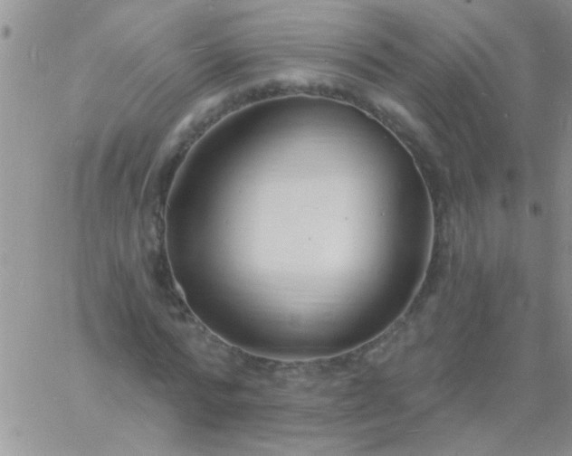 X0000060810776200511241934