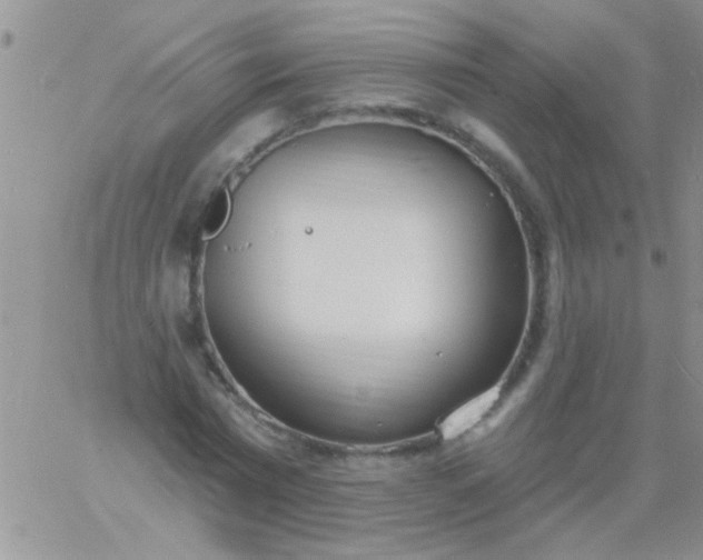 X0000060810777200511241934