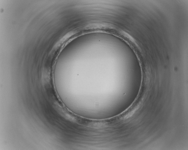 X0000060810778200511241934