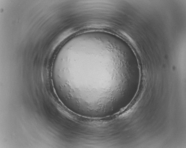 X0000060810779200511241934