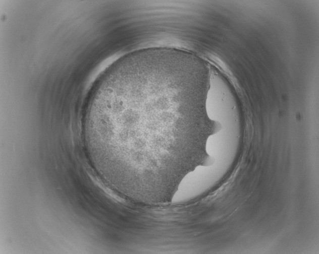 X0000060810780200511241934