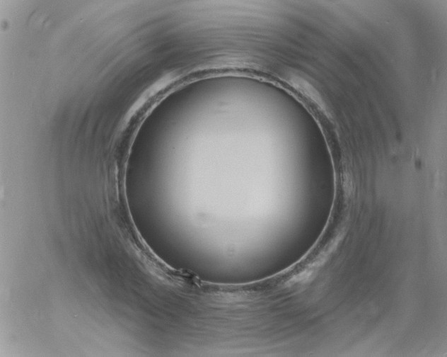 X0000060810781200511241934