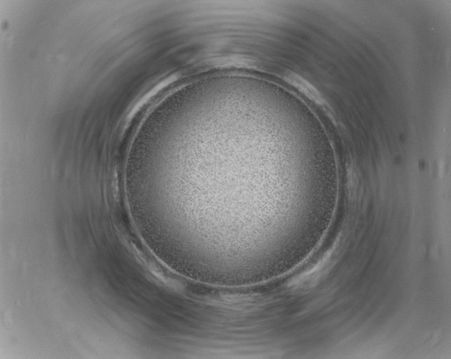 X0000060810782200511241934