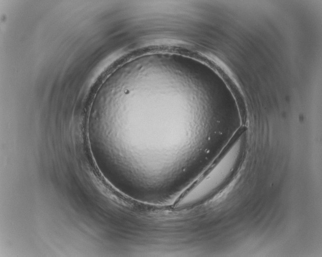 X0000060810783200511241934