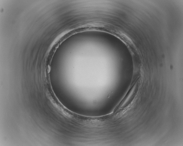 X0000060810784200511241934