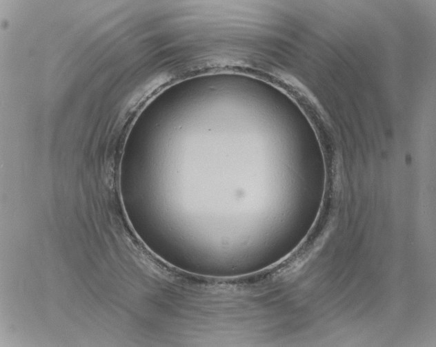 X0000060810785200511241934