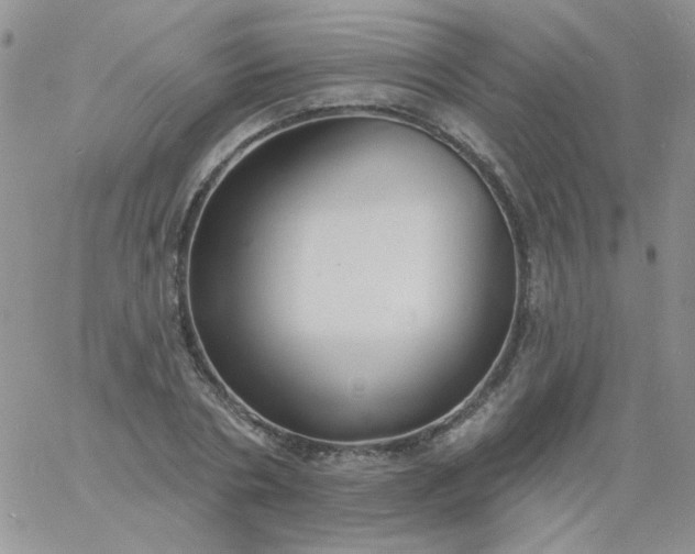 X0000060810786200511241934